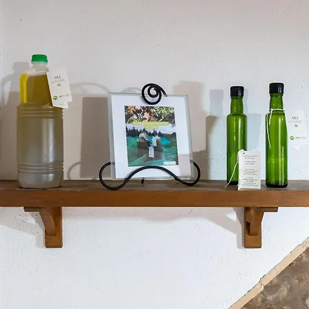 Mas Colom-can Cruset Apartment Torrellas de Foix
